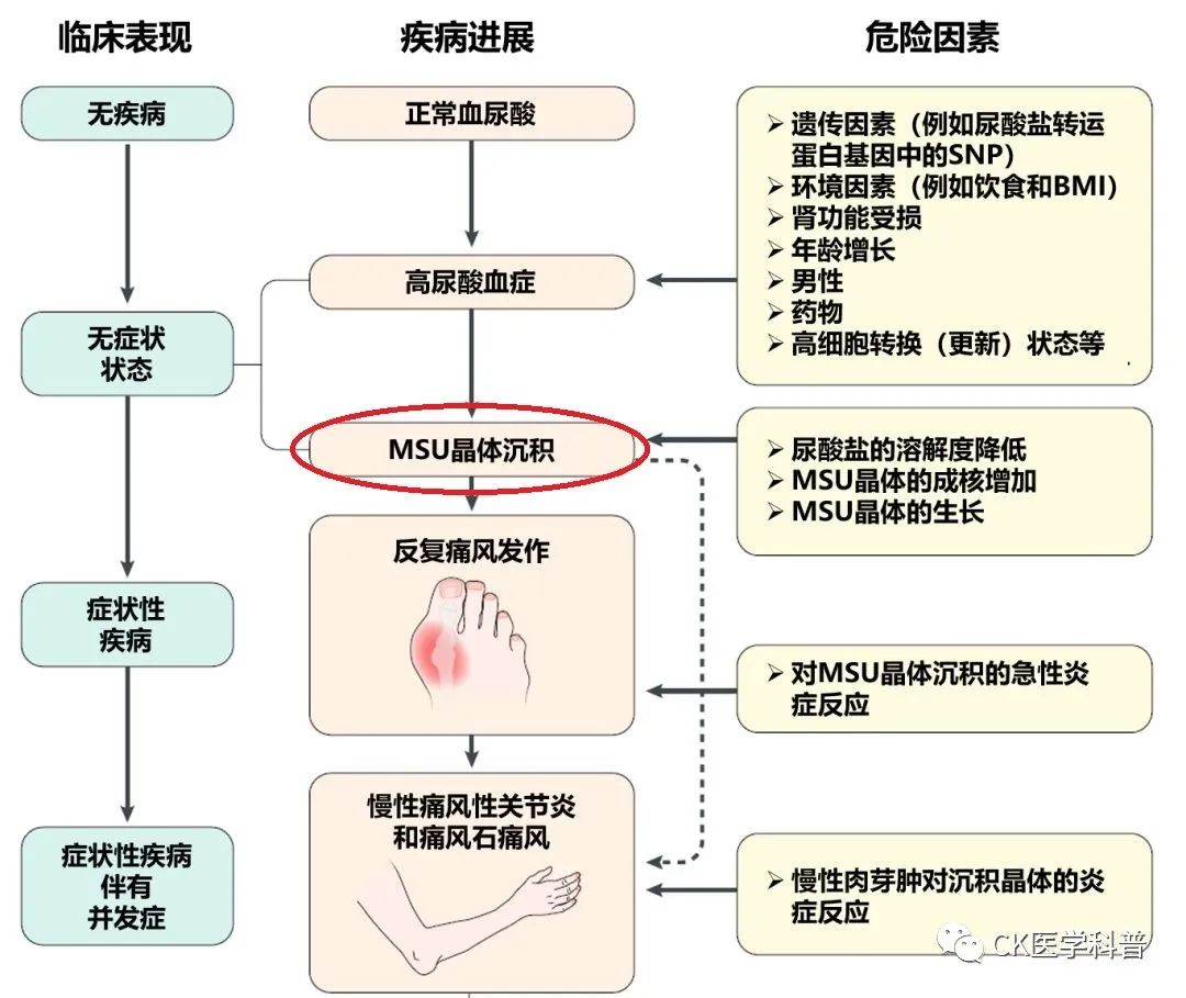 薇含