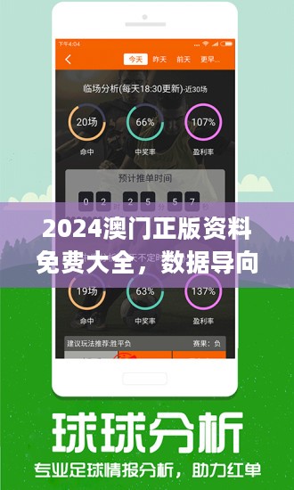 2024澳门正版精准免费大全,快速解答方案执行_1080p82.687