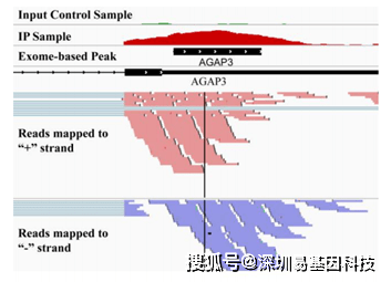 848484内部资料查询,绝对经典解释落实_AP48.538