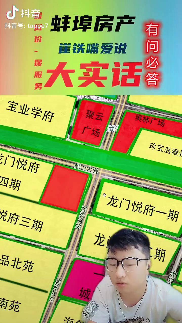 维维说房，最新市场动态揭示房地产的新机遇与挑战